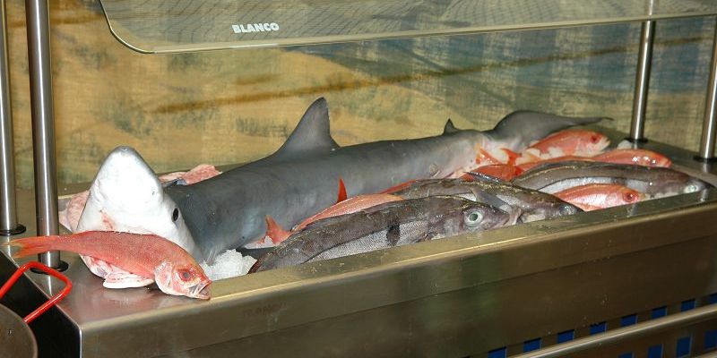 Das war ein großer Fischabend an der Waterkant in Hamburg!