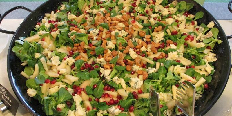Unsere Salat-Auswahl = Frische die man sehen und schmecken kann!